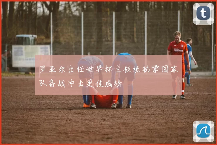 罗亚尔出任世界杯主教练执掌国家队备战冲击更佳成绩