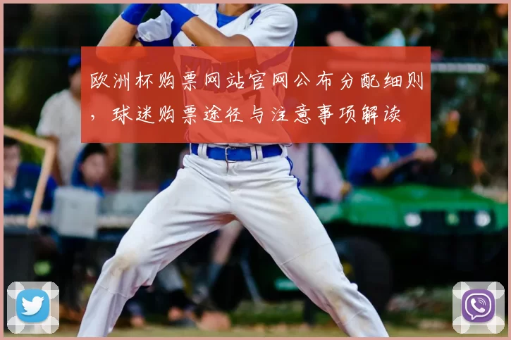 欧洲杯购票网站官网公布分配细则，球迷购票途径与注意事项解读