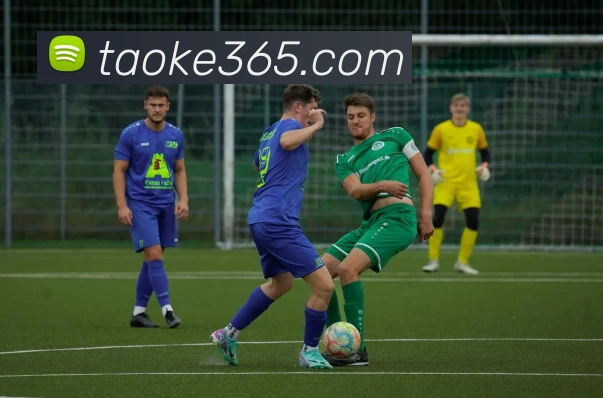 开云官方版网站登录入口 - 开云online(中国)APP 封面图